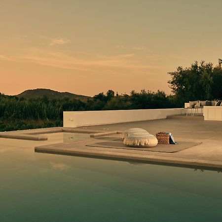 Drallos Luxury Villa 阿利卡纳斯 外观 照片