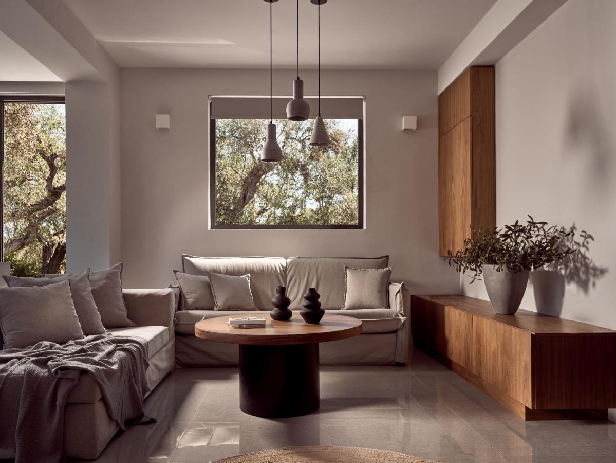 Drallos Luxury Villa 阿利卡纳斯 外观 照片