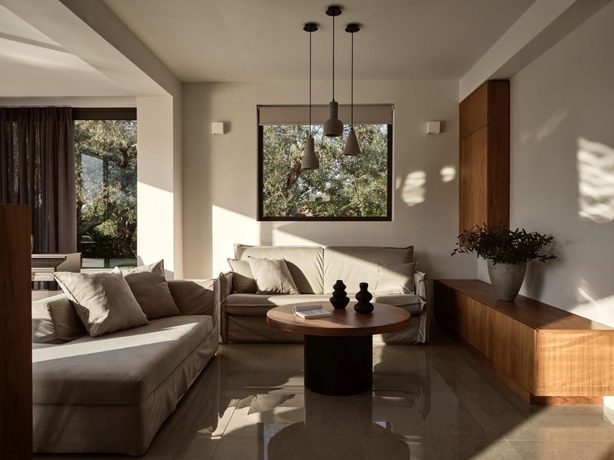 Drallos Luxury Villa 阿利卡纳斯 外观 照片