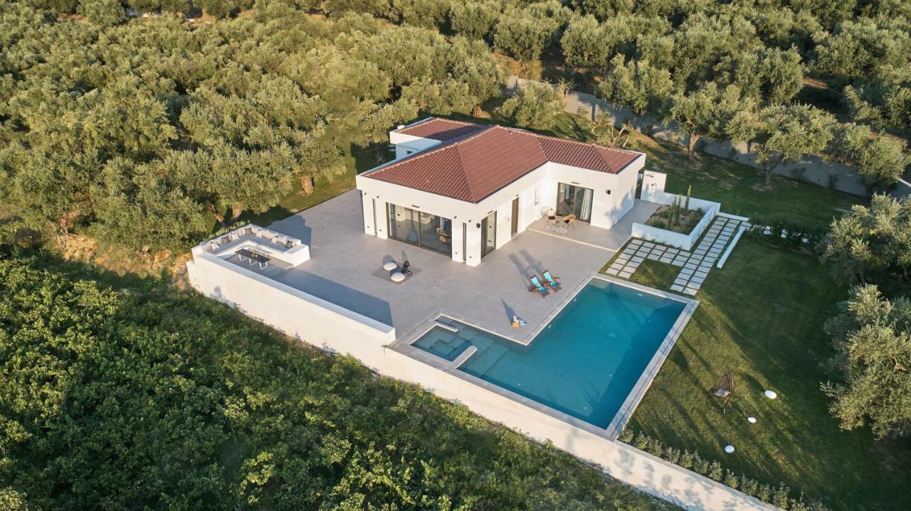 Drallos Luxury Villa 阿利卡纳斯 外观 照片