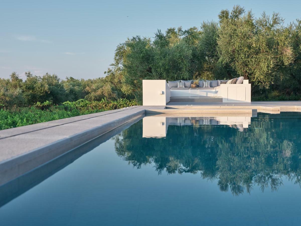 Drallos Luxury Villa 阿利卡纳斯 外观 照片